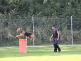 5 Rassen Chip 1 2013-09-28 004